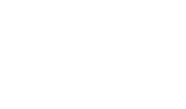 Fiesta Vallarta